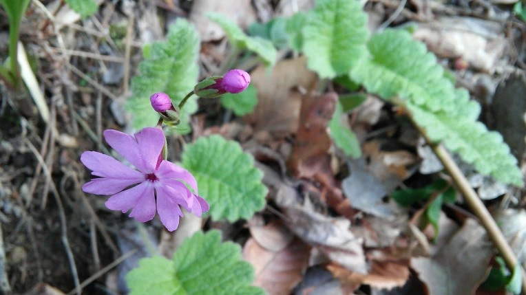 2258C9355909CA972AB7E9