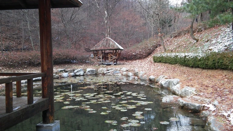 240EE13656720F73151BDC