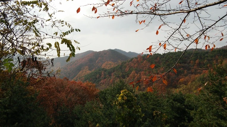 2567A037564315041EE9A6