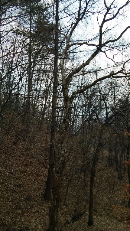 2104A34156F4DC7E2EBEE7