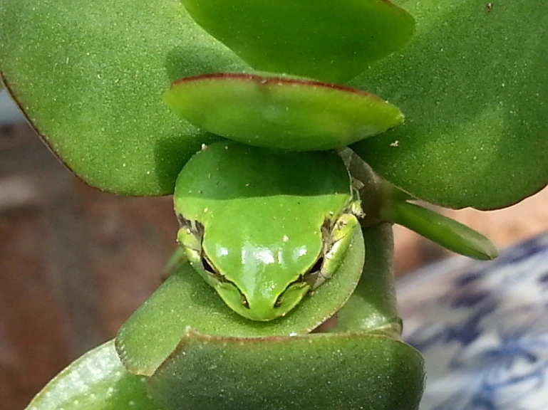 27706F4E537B2E262F1064