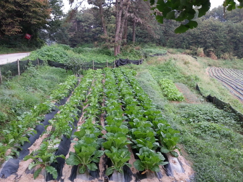 24161041541A946D301630