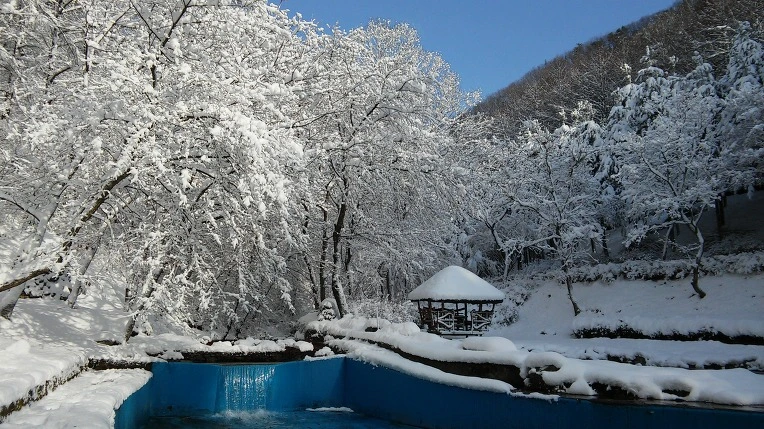 26378E3F5661214801D9B1