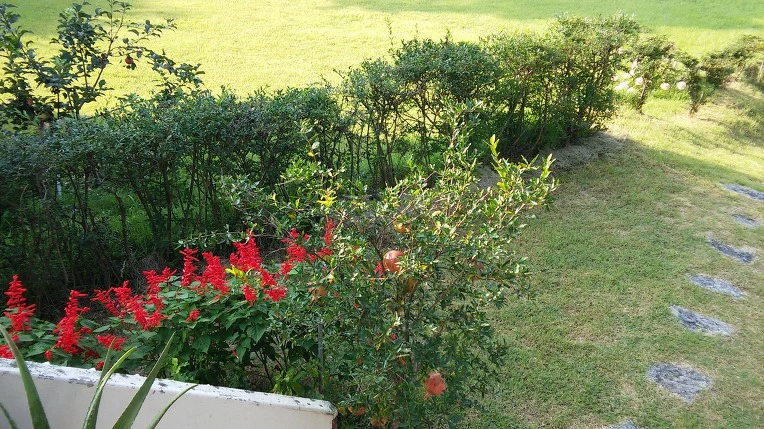 99C8C03359A7DC441517E8