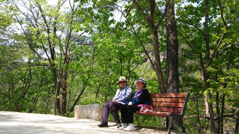 240F253D58FFC3A5151D10