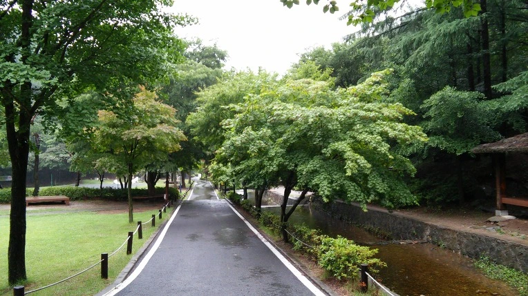 2754963E558C8DB8022C43