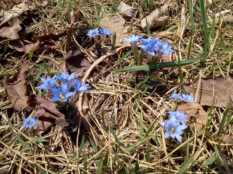 12742C4F4ECEB93B1E46E8