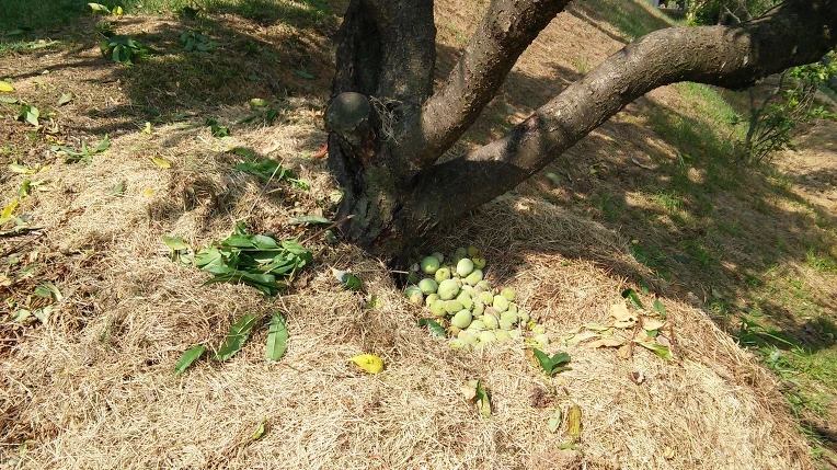 257CD84D574E52BE24CCD5