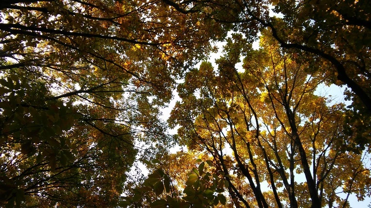 22462A3F581FF48B100ED4