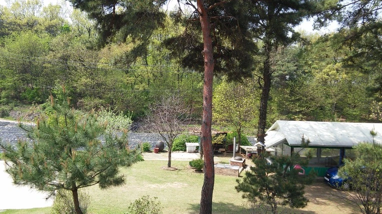 212F8C35571DF429334240