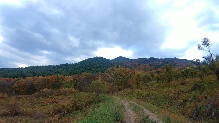 99A33F355BD6ADCB3E0534