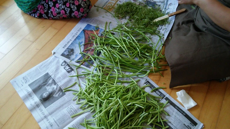 9930033359A7DCE51493BD