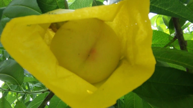 277CAC3E5622C0881BB766