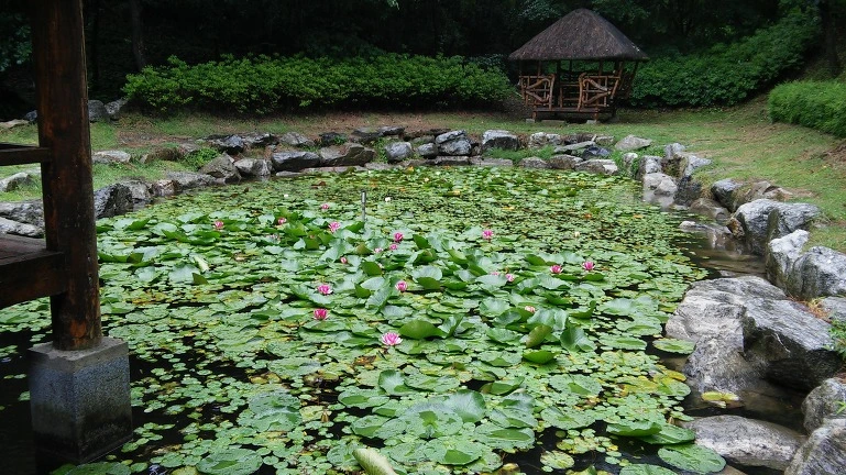 216A9C36558CA6C201FF03