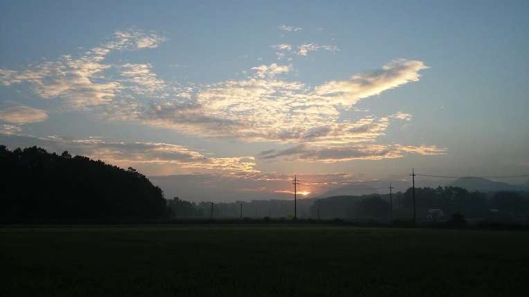 26286B4457C4C0CE135DE6