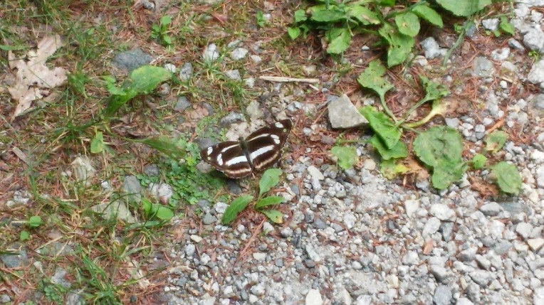 24302C445699F2BD1E3A58