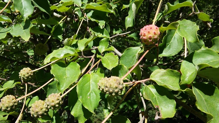 2228CE3E55EE3EEC2EC14B