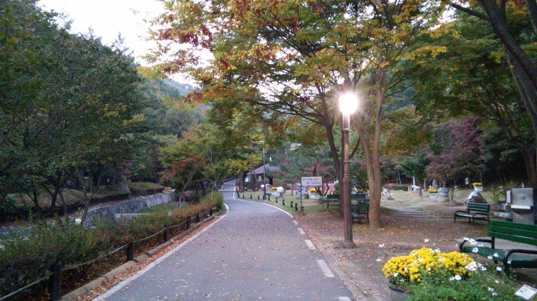 217F184C5620519B1D2686