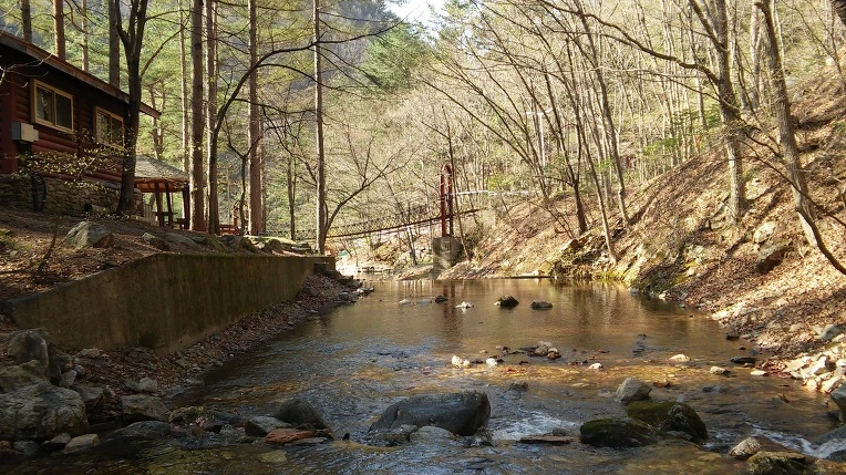 2622C04658F7E04A11AD13