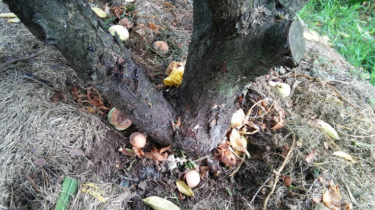 2674F73A5796DC6C0340E6