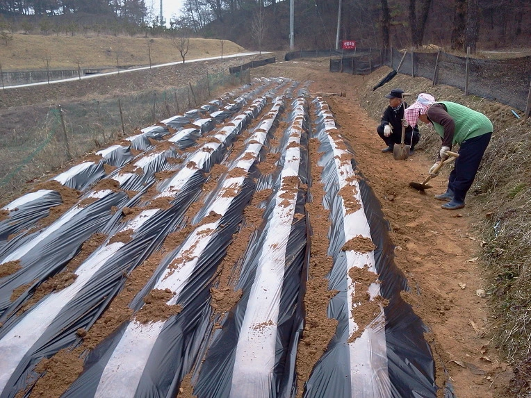 160E2E4B4F726C07221C5C