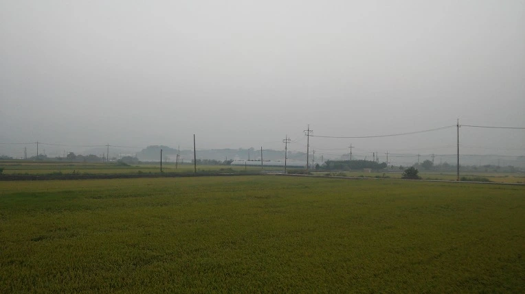 217A814257C7911F043802