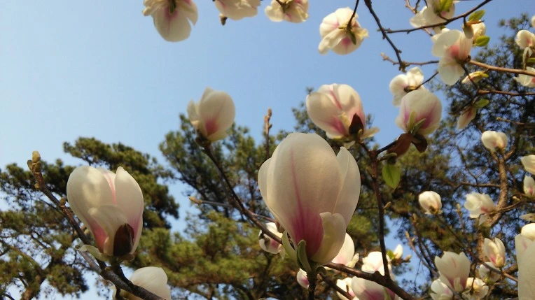 2569A34D570C6B231C76B5