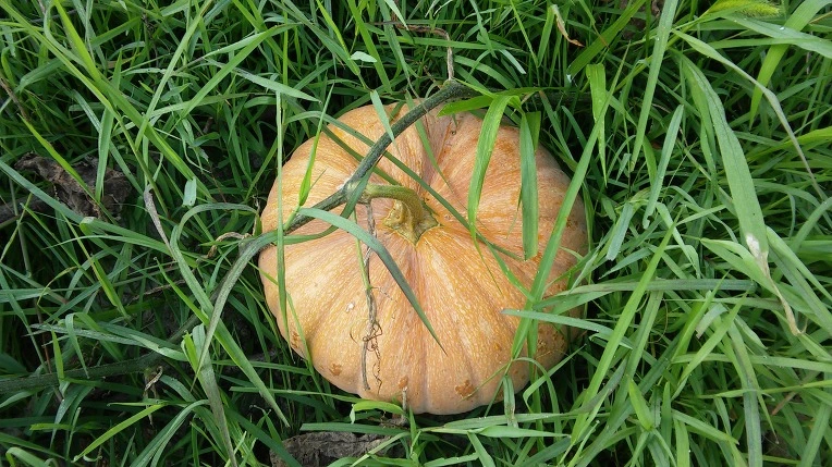 21365F4B57A5245326AC5E