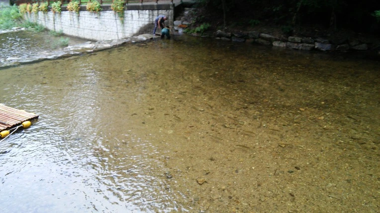 994BCF335A0D1D0419DDB0