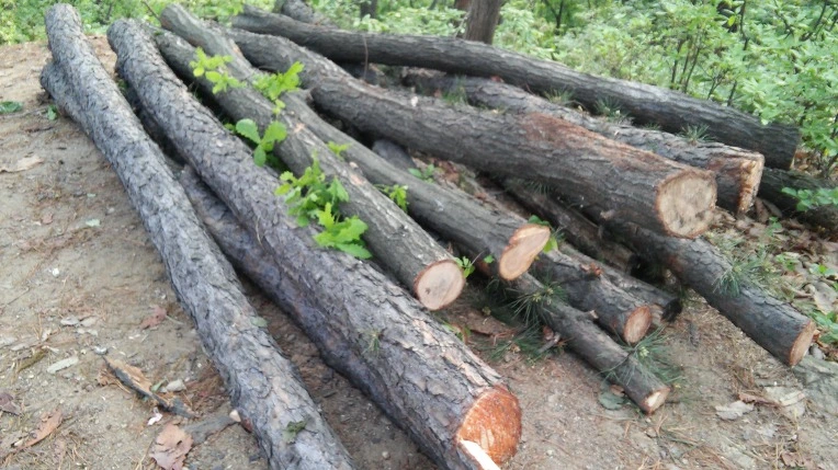 22281349572696F10245BE