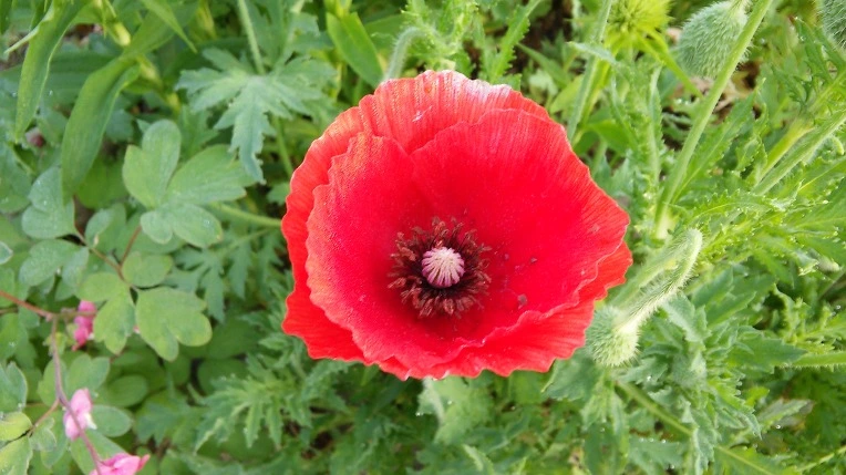 2240B434572E66D726CF84