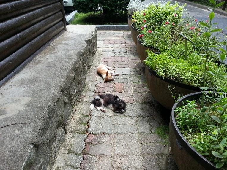 255FB13451EB4FC61905FA