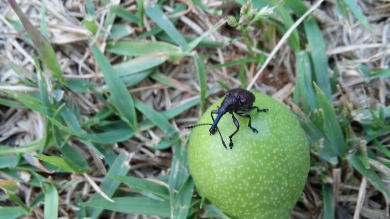 234DA7445745886818EBA8