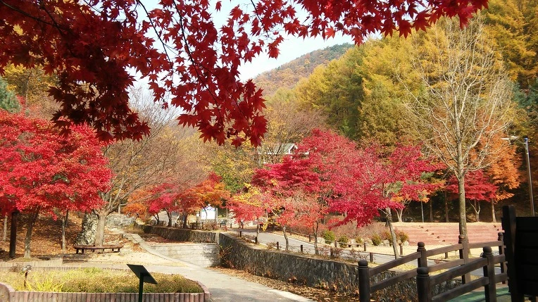 222F1148563C464F0F384A