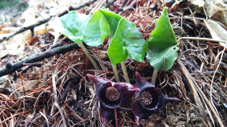 262CCF3B58E5DE46186AAD