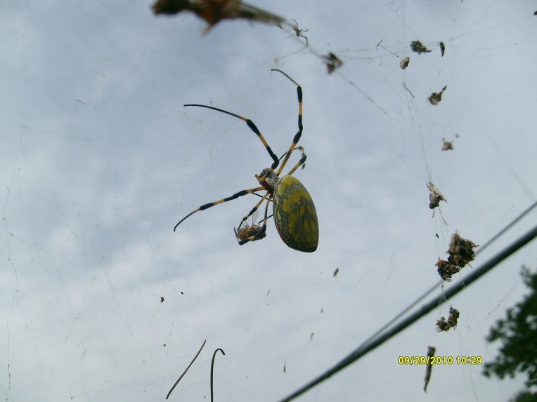 164492374D3650912870BD