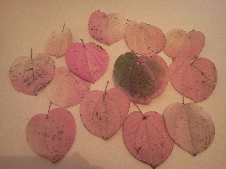 237C743A5424173D0D7DE8