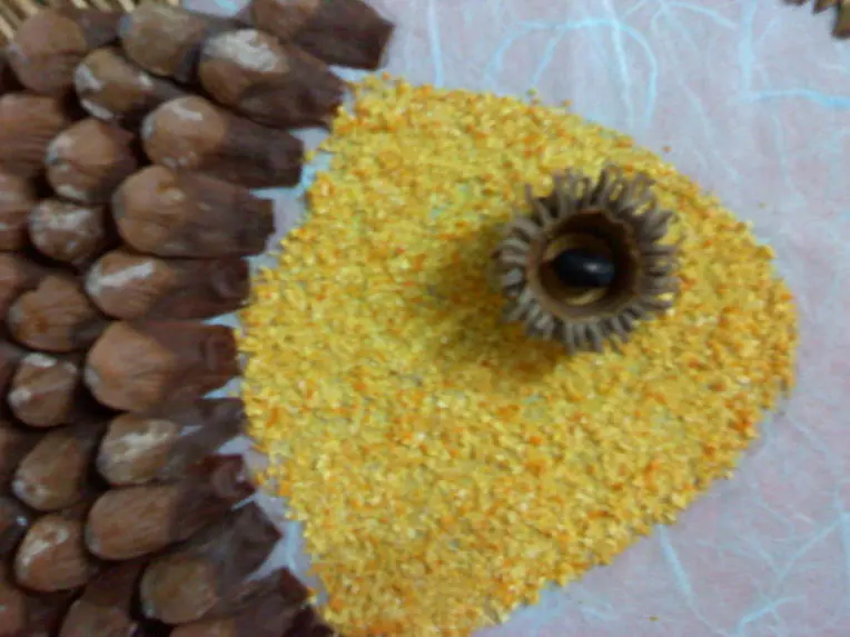 2418D93B54B5C6862DDFA1