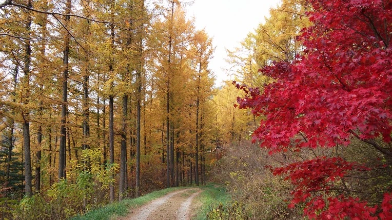 246BC835564314EF1CDF28