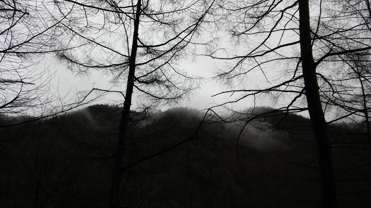 236E813556EB9B790725F0