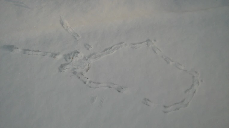 240141375881ABE8177971