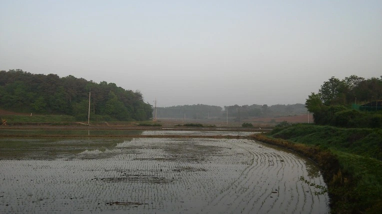 23494A37572E66BE1D5A0C