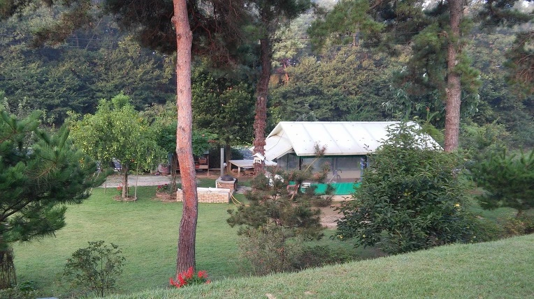 2357093557E4684029CC0C