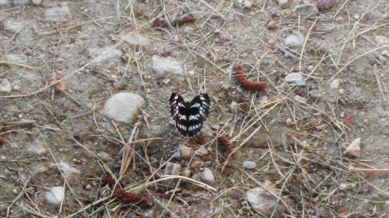 2169F34057B90F64247B82