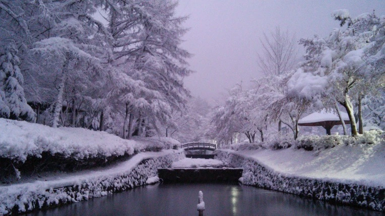 270474375866435907C88B