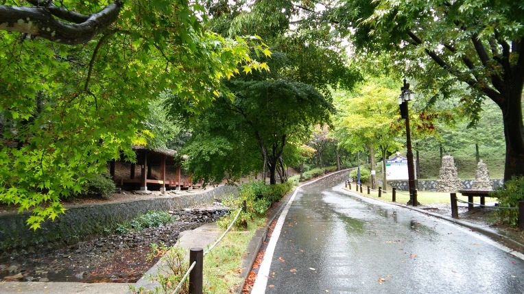 270B1D3C56932BE8101490