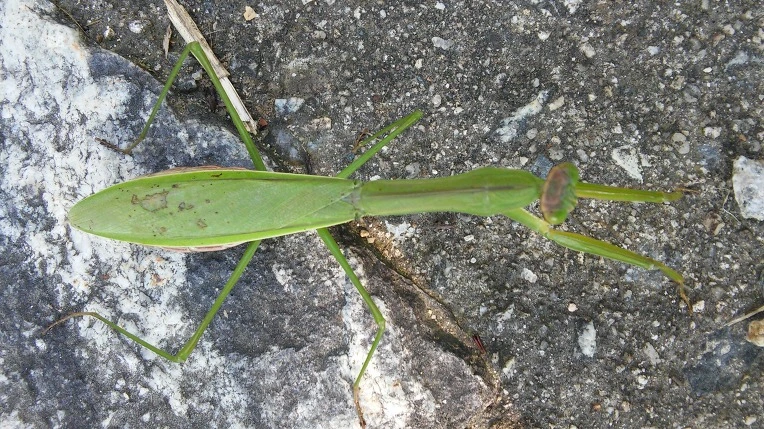 220C1F375600FE05298F02