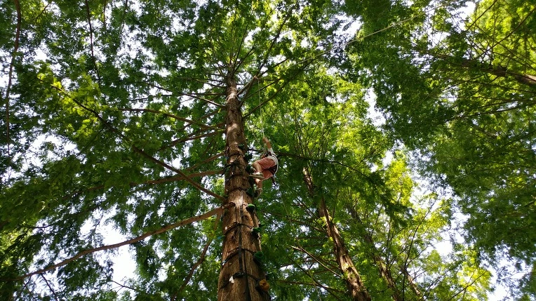 99E779375B57BF83180DBF