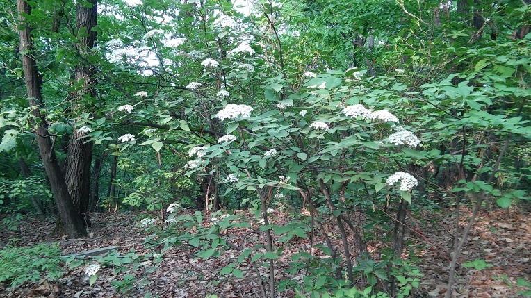 2201BE4C572697710F6E97