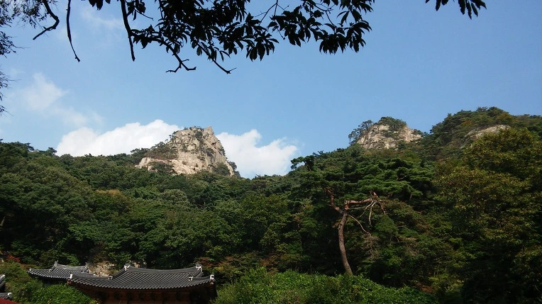 21339842560FBC7B316D4B